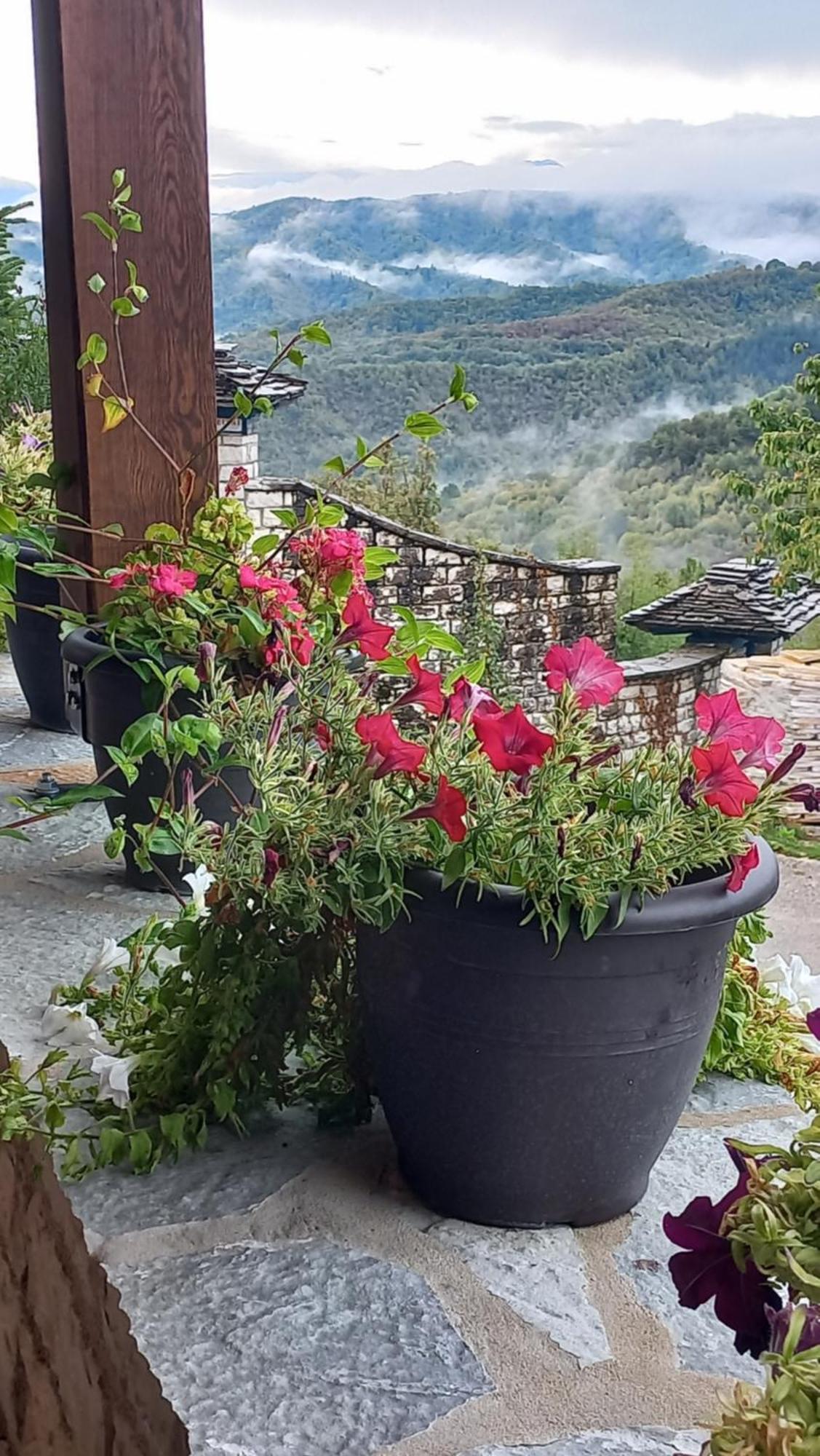 Guesthouse Selini Vitsa Zewnętrze zdjęcie