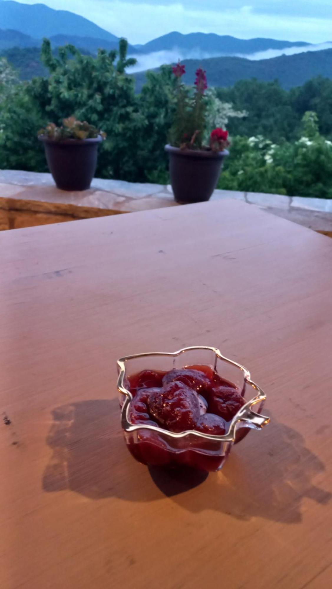 Guesthouse Selini Vitsa Zewnętrze zdjęcie
