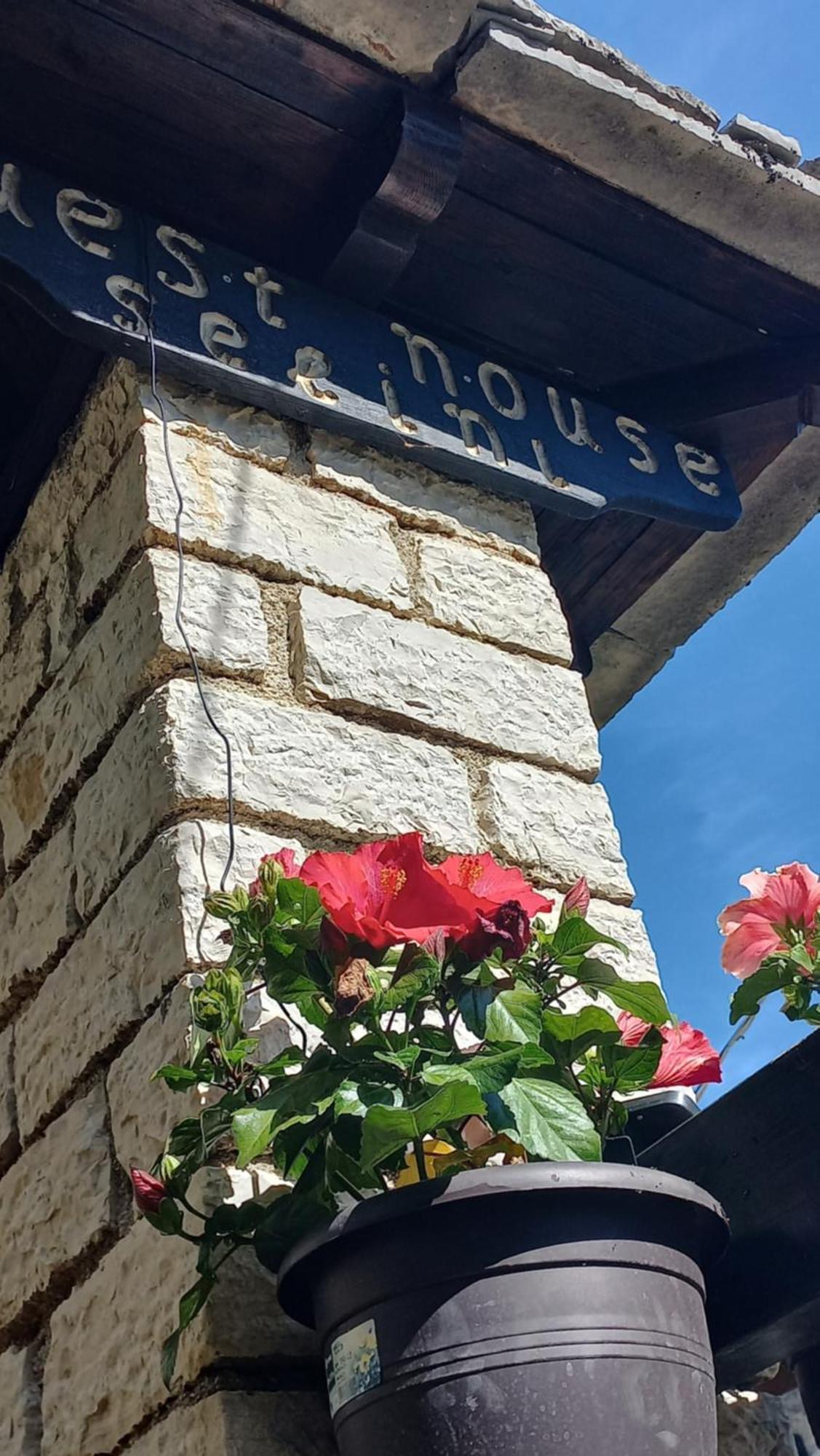 Guesthouse Selini Vitsa Zewnętrze zdjęcie